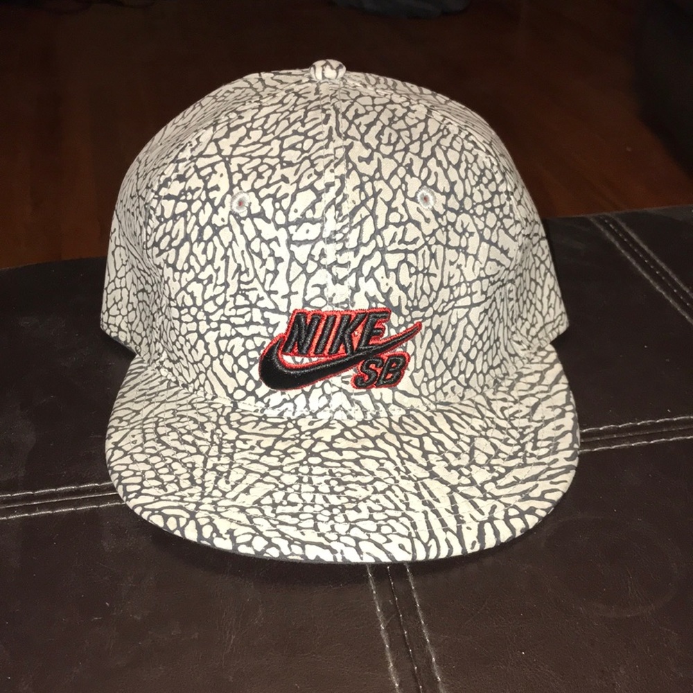 Nike SB fitted leather hat